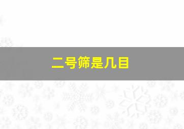 二号筛是几目