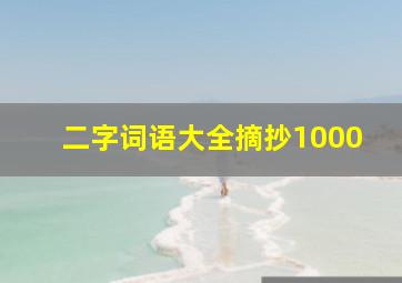 二字词语大全摘抄1000