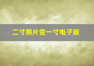 二寸照片变一寸电子版