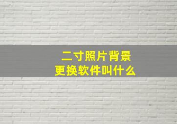 二寸照片背景更换软件叫什么