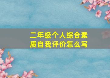 二年级个人综合素质自我评价怎么写