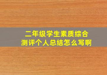 二年级学生素质综合测评个人总结怎么写啊