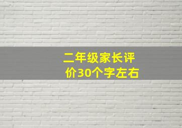 二年级家长评价30个字左右