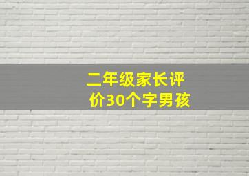 二年级家长评价30个字男孩