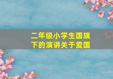 二年级小学生国旗下的演讲关于爱国