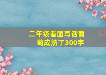 二年级看图写话葡萄成熟了300字