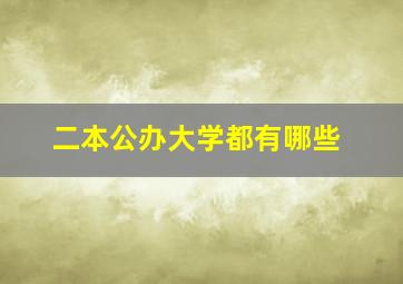 二本公办大学都有哪些