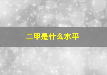 二甲是什么水平