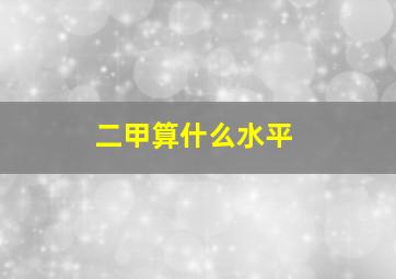 二甲算什么水平