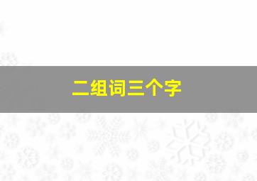 二组词三个字