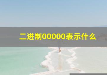 二进制00000表示什么