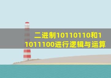 二进制10110110和11011100进行逻辑与运算