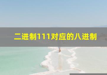 二进制111对应的八进制