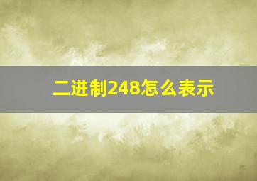 二进制248怎么表示