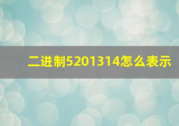 二进制5201314怎么表示