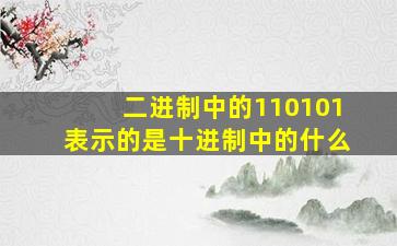 二进制中的110101表示的是十进制中的什么