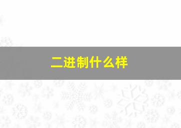 二进制什么样