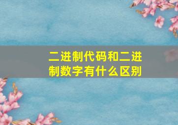 二进制代码和二进制数字有什么区别