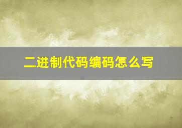 二进制代码编码怎么写