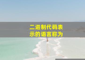 二进制代码表示的语言称为