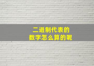 二进制代表的数字怎么算的呢