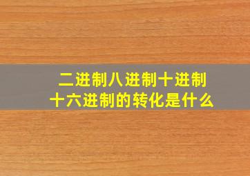 二进制八进制十进制十六进制的转化是什么