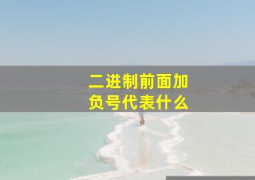 二进制前面加负号代表什么