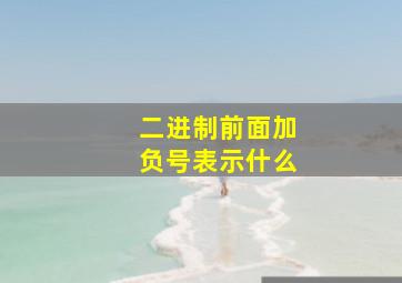 二进制前面加负号表示什么