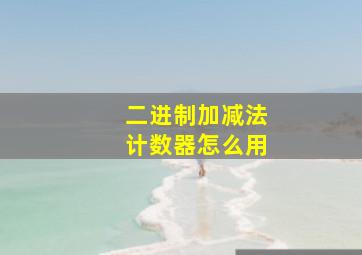 二进制加减法计数器怎么用