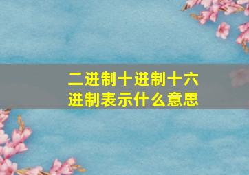 二进制十进制十六进制表示什么意思