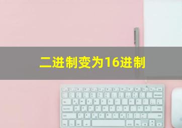 二进制变为16进制