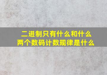 二进制只有什么和什么两个数码计数规律是什么