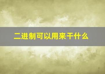 二进制可以用来干什么