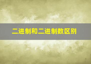 二进制和二进制数区别