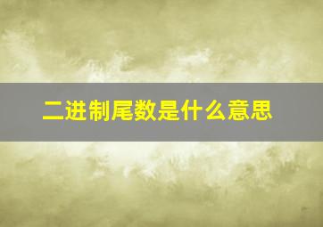 二进制尾数是什么意思