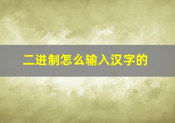 二进制怎么输入汉字的