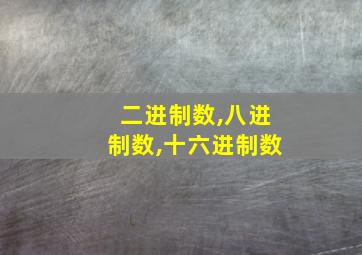 二进制数,八进制数,十六进制数