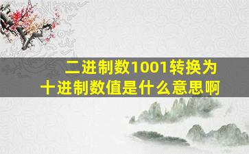 二进制数1001转换为十进制数值是什么意思啊