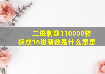 二进制数110000转换成16进制数是什么意思