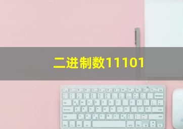 二进制数11101