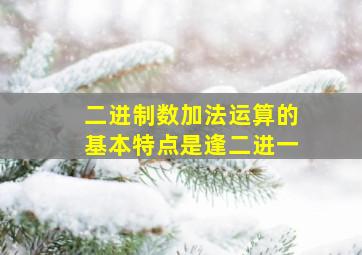 二进制数加法运算的基本特点是逢二进一