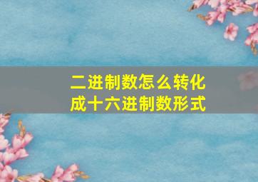 二进制数怎么转化成十六进制数形式