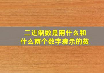 二进制数是用什么和什么两个数字表示的数