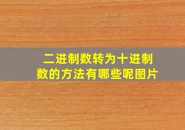 二进制数转为十进制数的方法有哪些呢图片