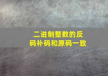 二进制整数的反码补码和原码一致