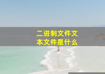 二进制文件文本文件是什么