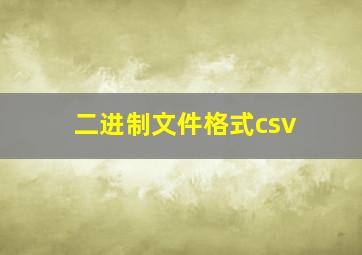 二进制文件格式csv