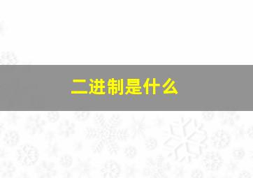 二进制是什么