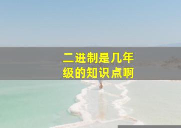 二进制是几年级的知识点啊