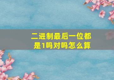 二进制最后一位都是1吗对吗怎么算